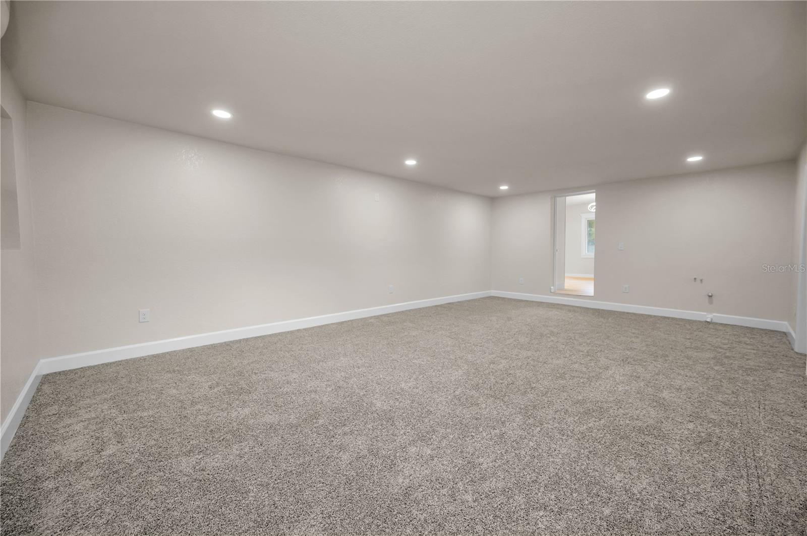 Enormous bonus room