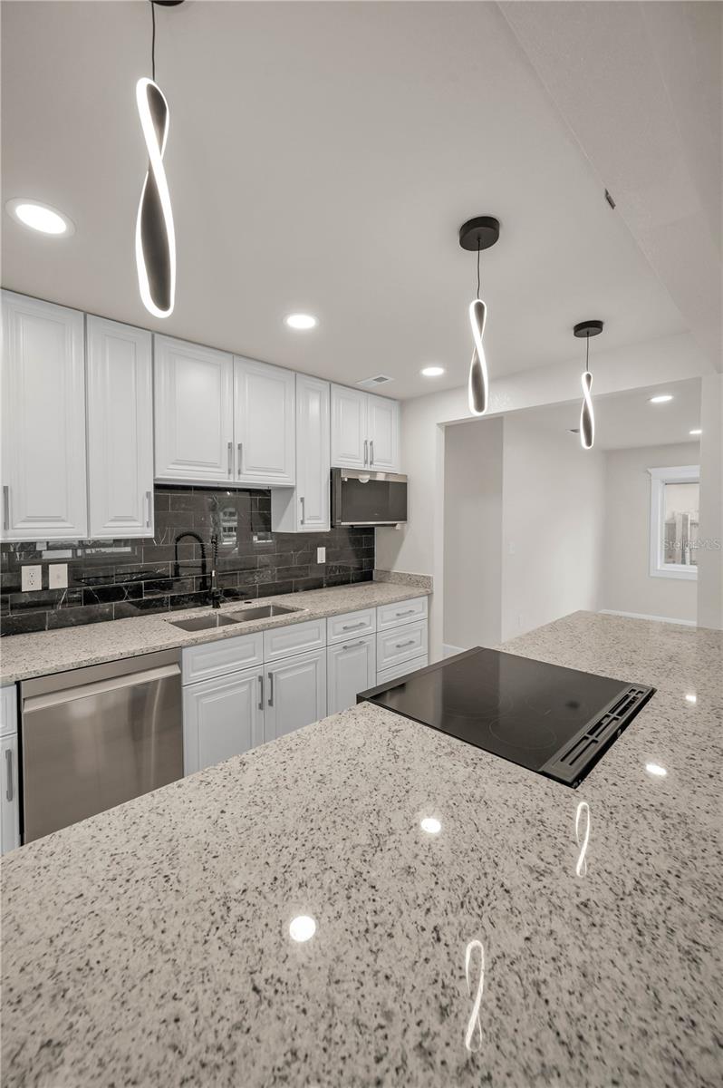 Quartz counters, granite back splash