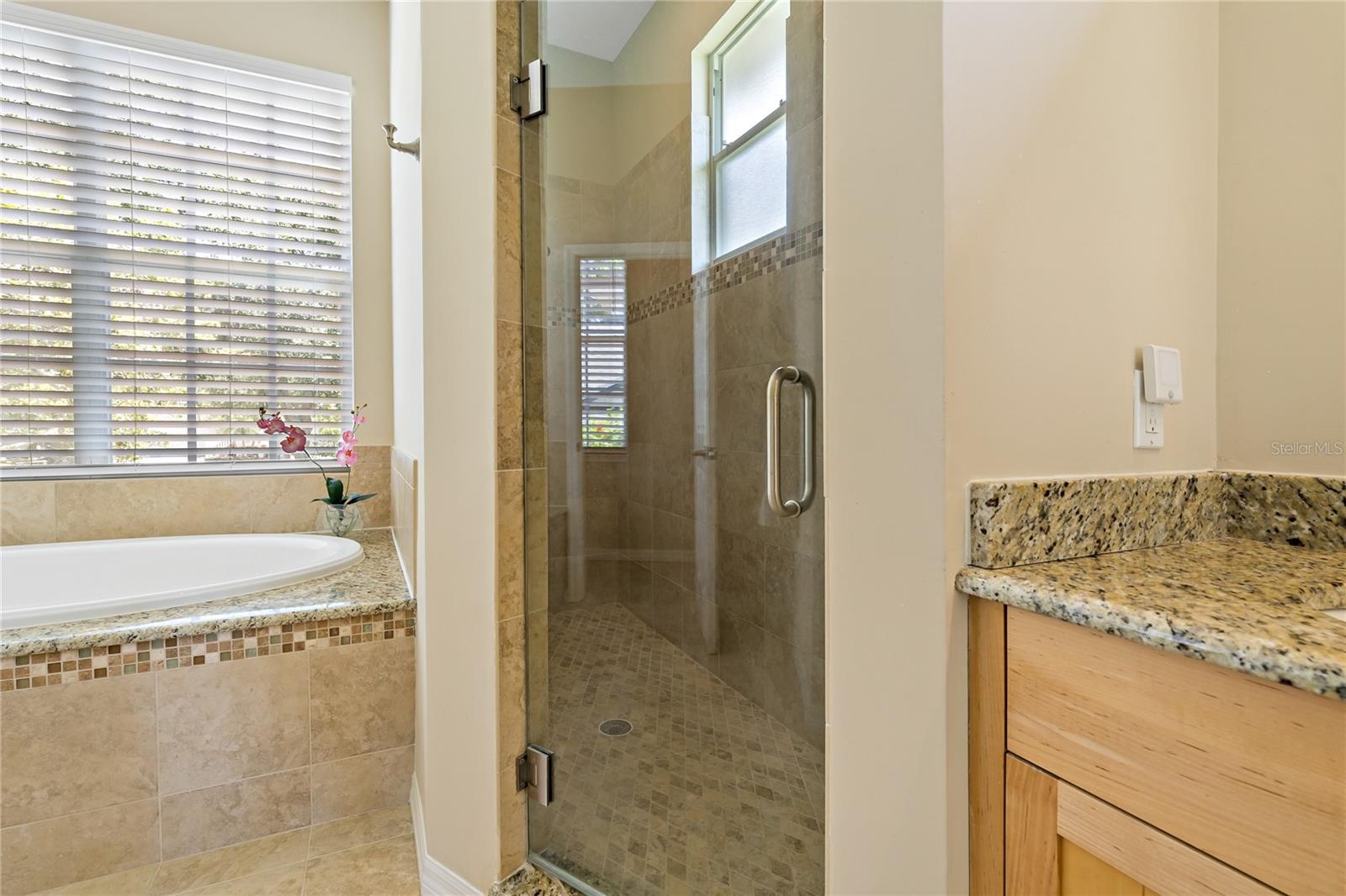 WALK IN SHOWER!