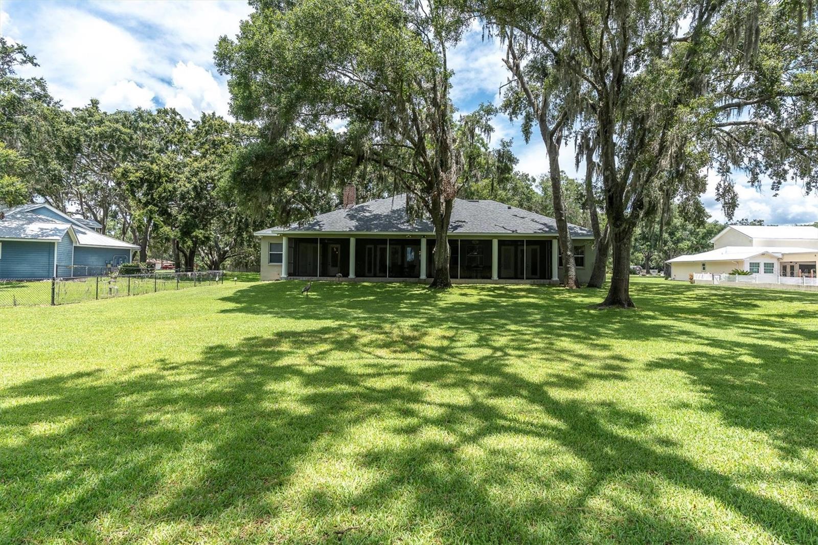 MASSIVE BACKYARD
