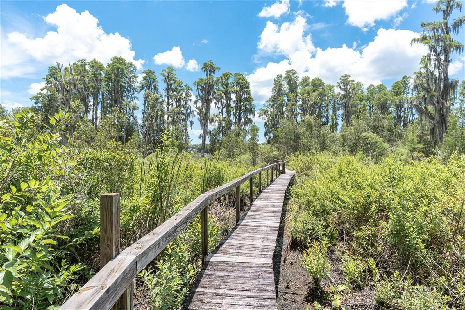 MEANDER DOWN THE DECK TO LAKE TAYLOR
