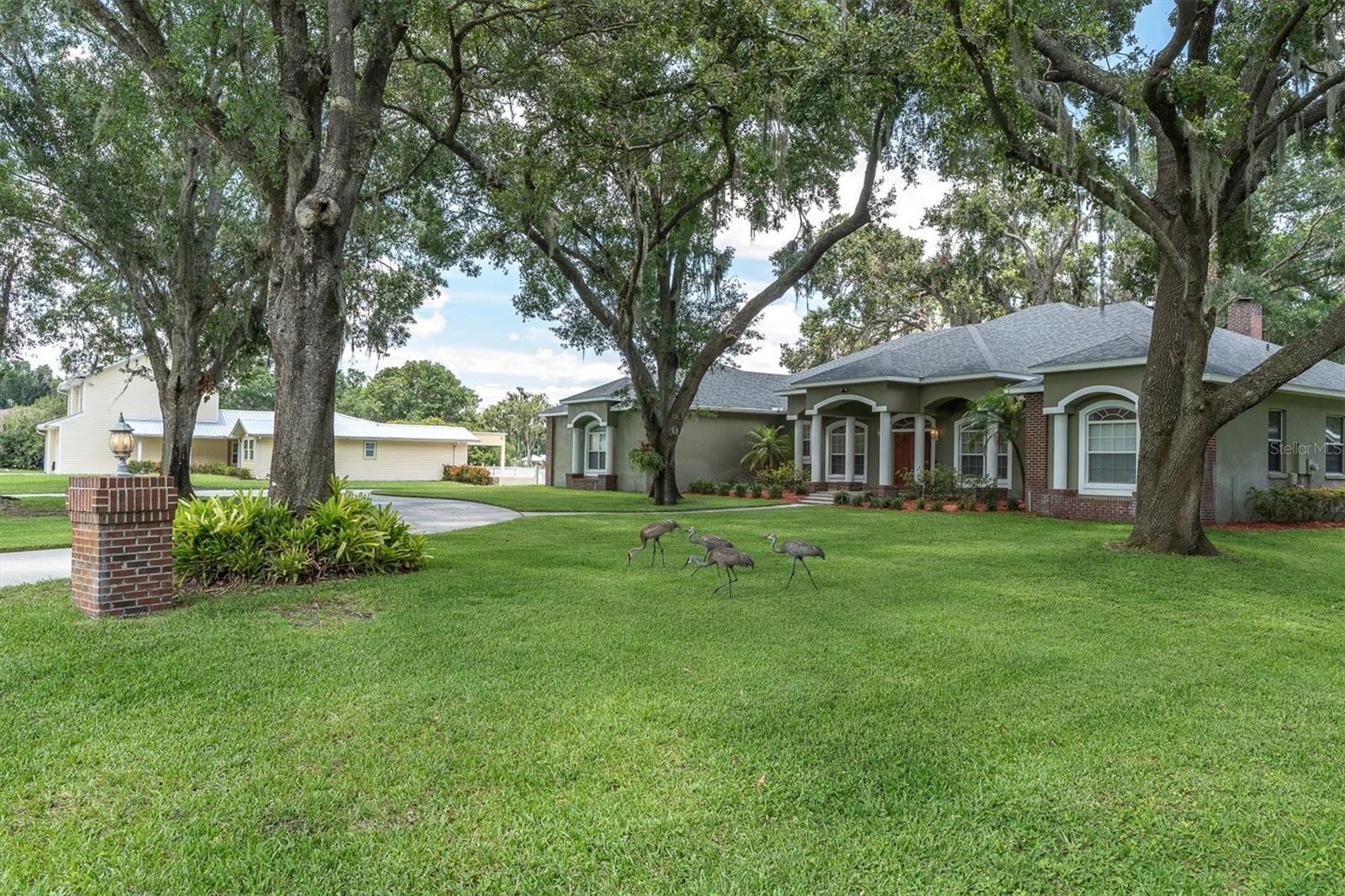 CURB APPEAL