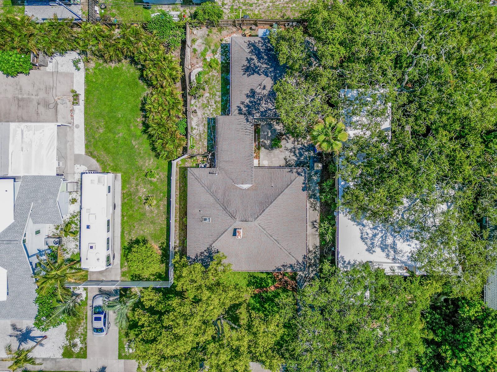Mature Landscaping