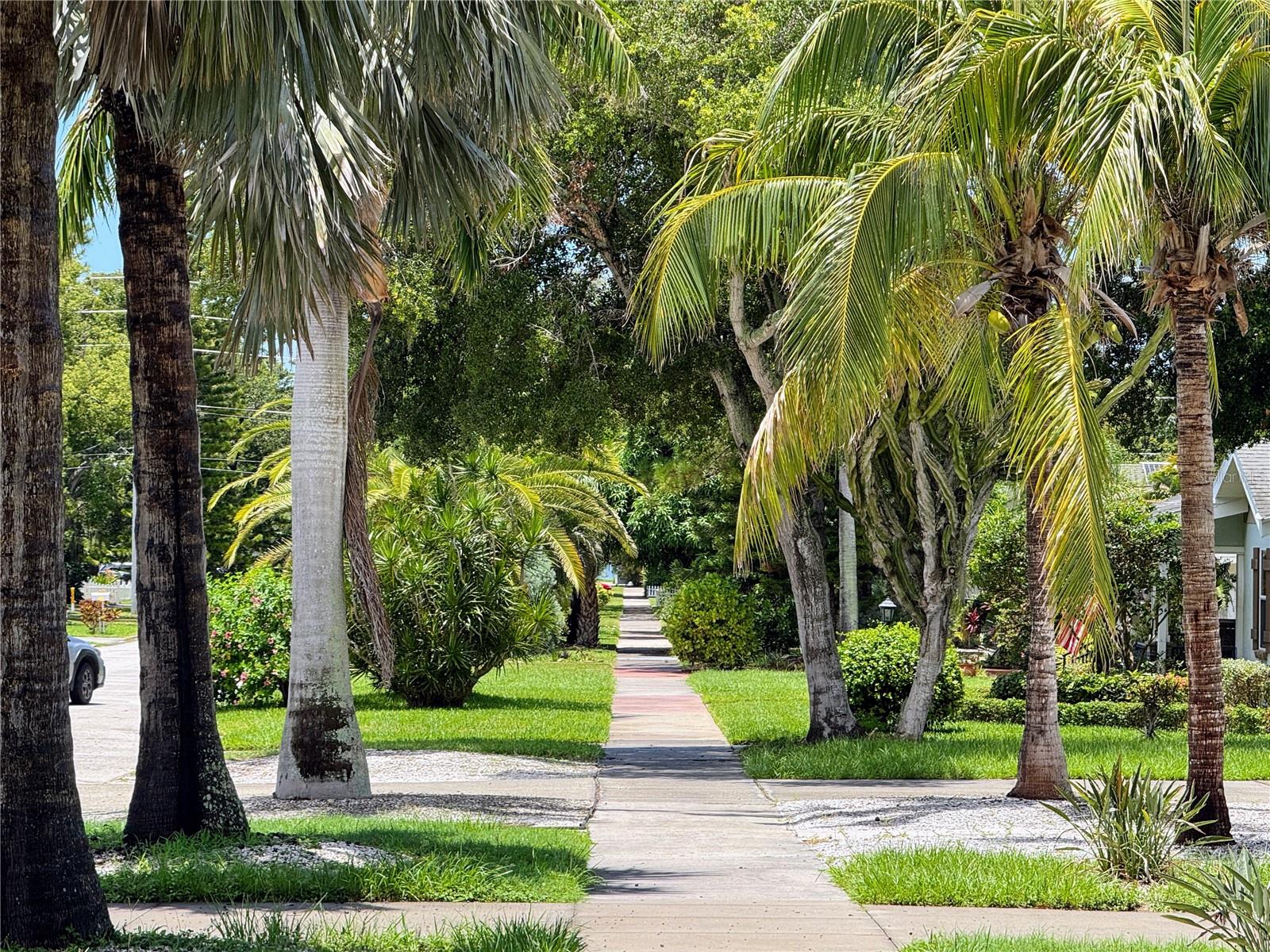 sidewalk in front leading to intracoastal waters