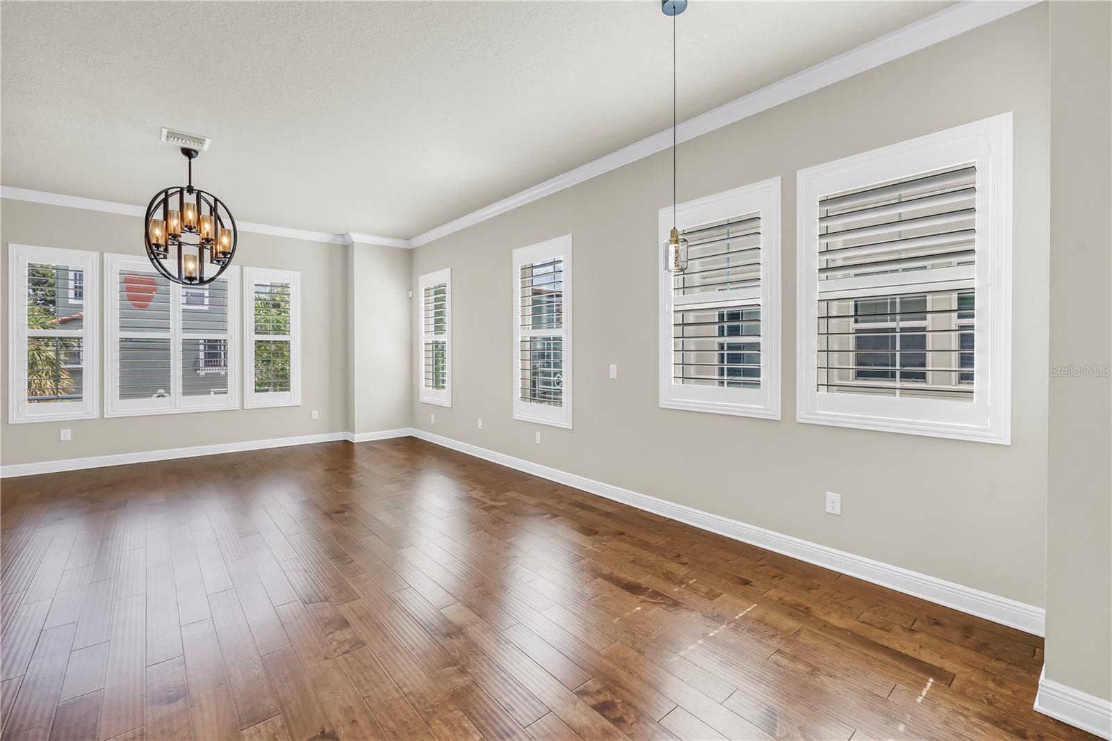 Dining Room and Living Room Combo