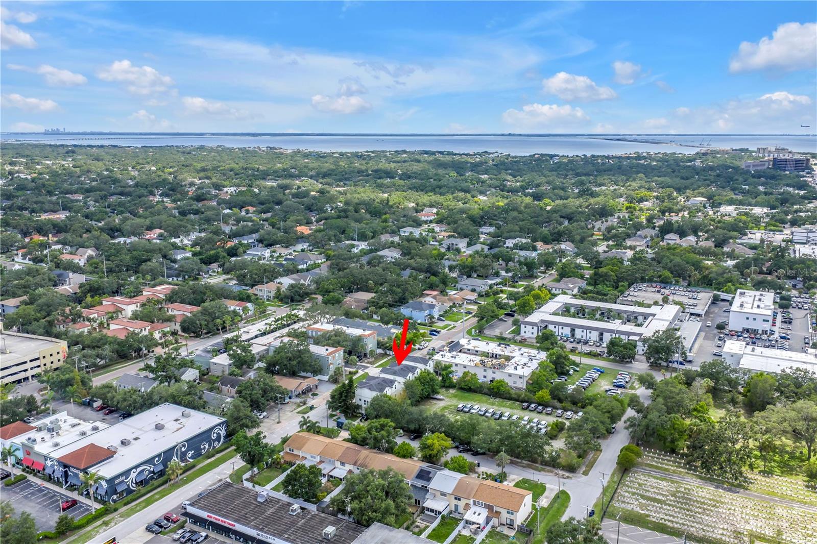 Lots of Beautiful Live Oak Trees in South Tampa, Including Behind This Home!