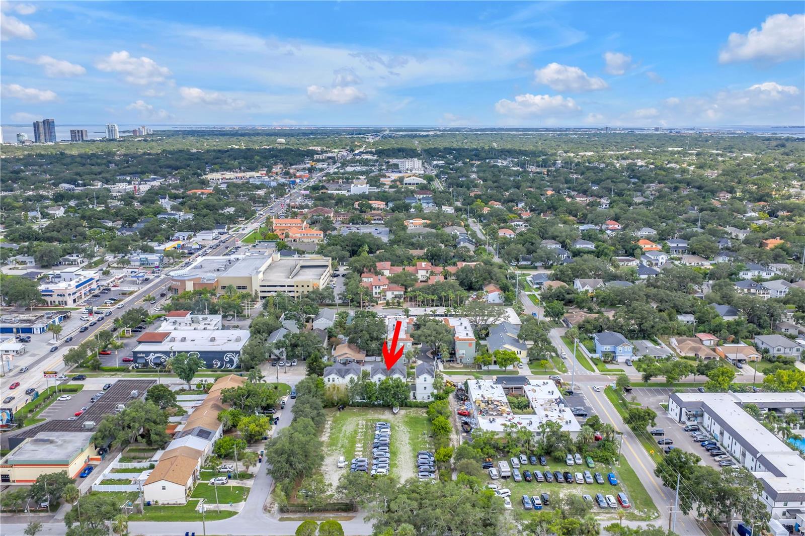 Large Live Oak Tree Behind Home Provided Privacy and a Pretty View from the Rear Windows