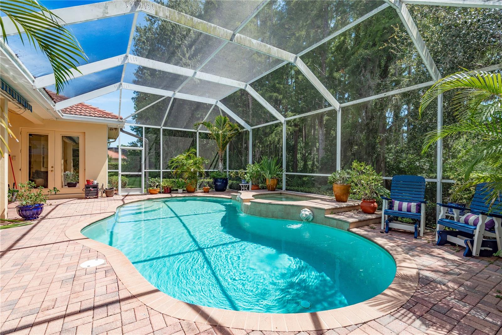 Pool and Spa