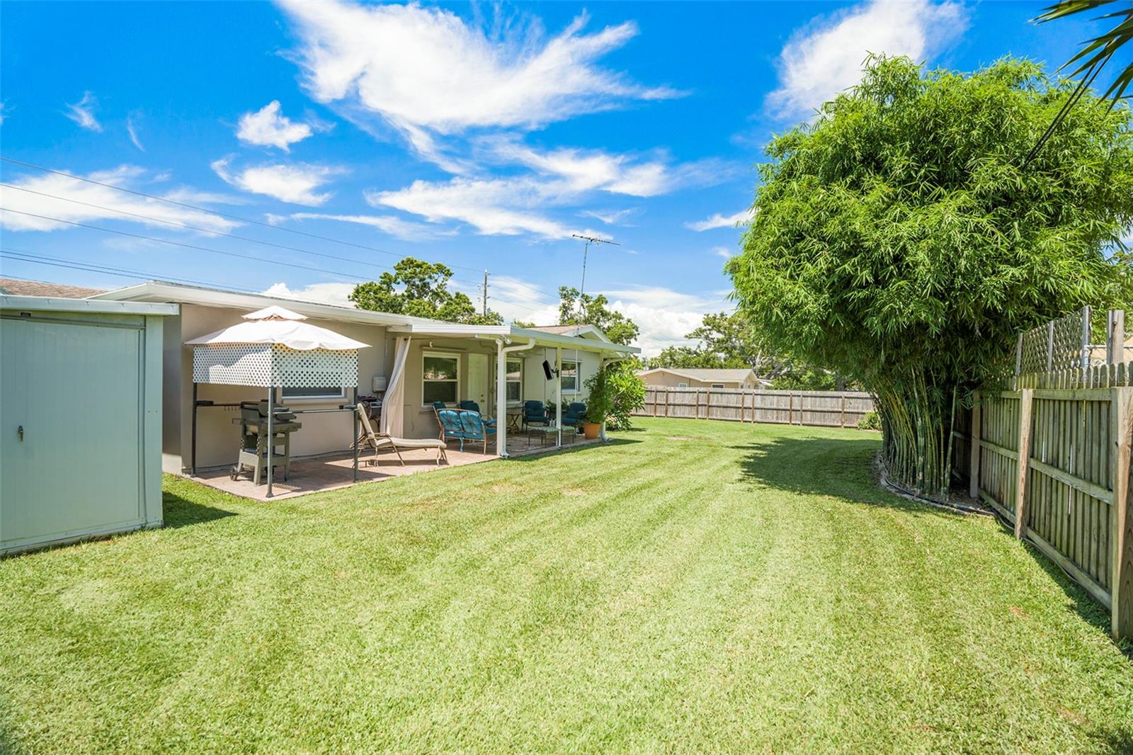 Shed and patio view