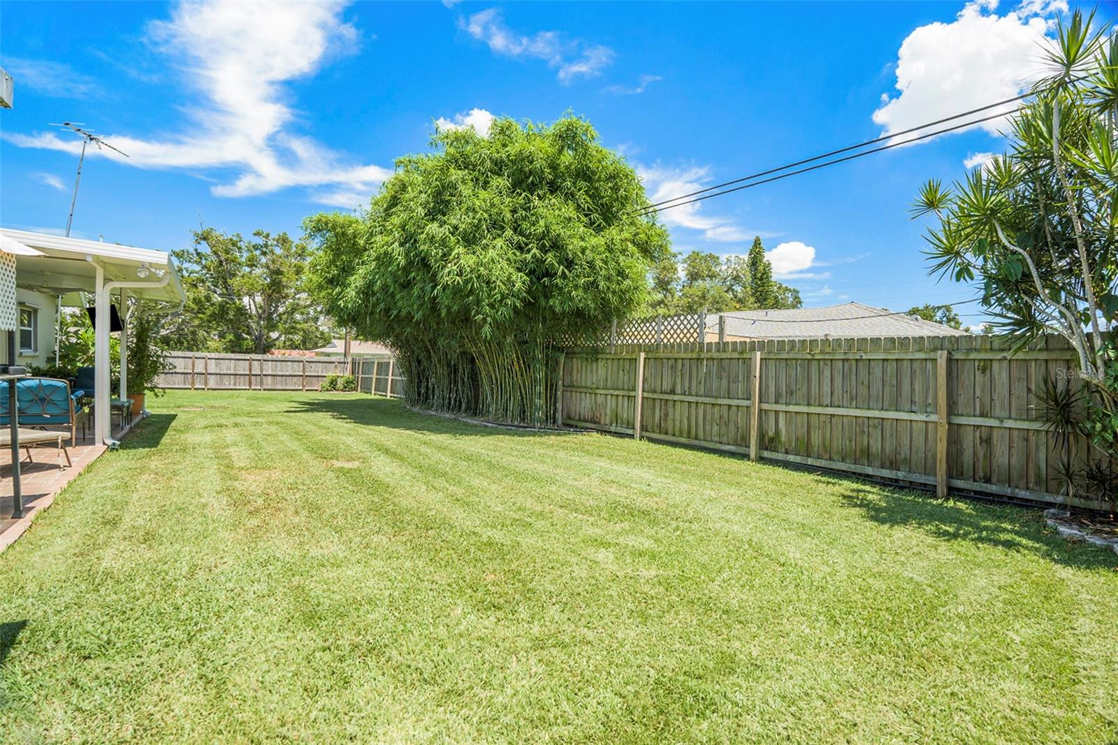 Full backyard view