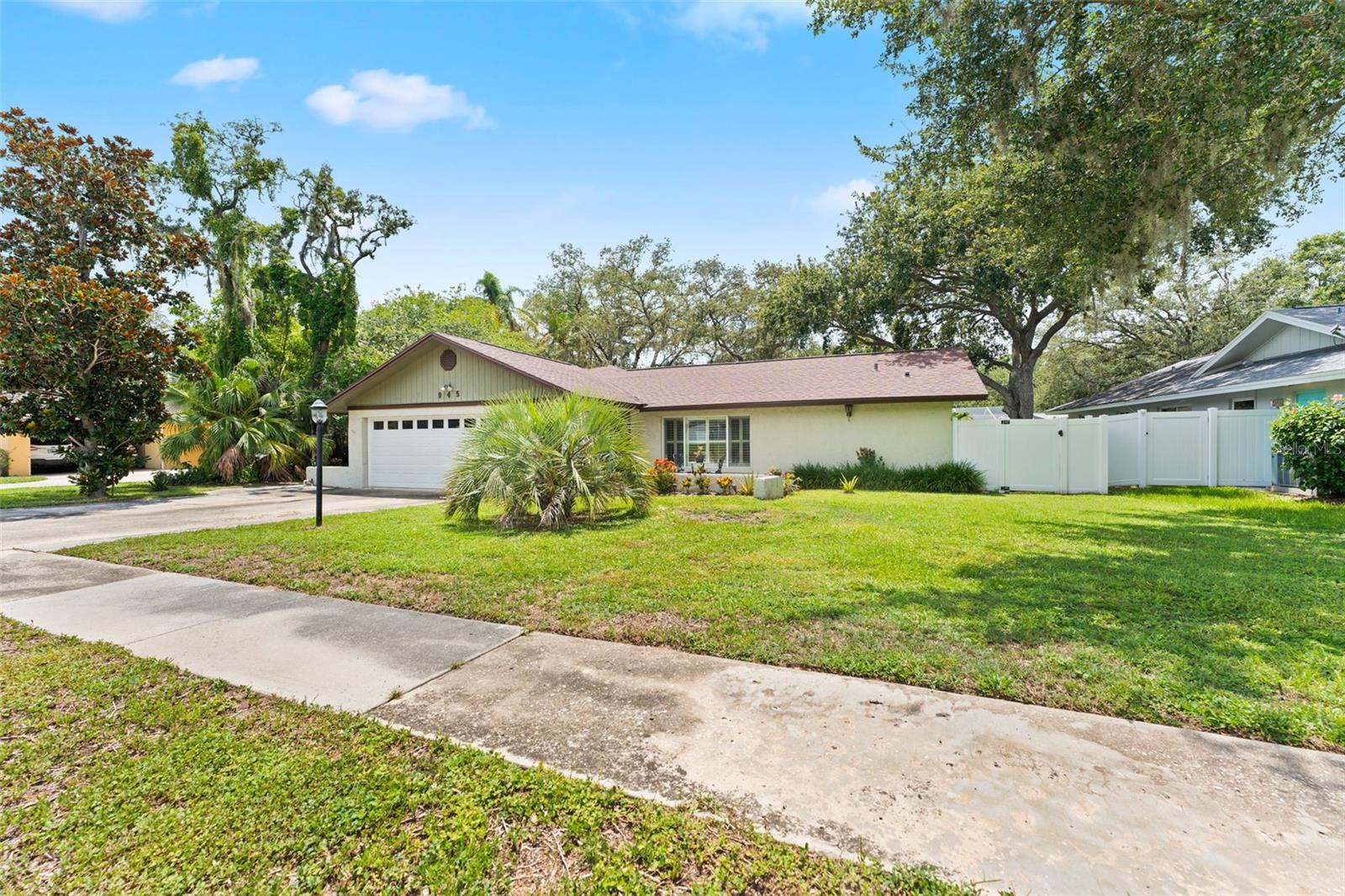 Spacious Front Yard!