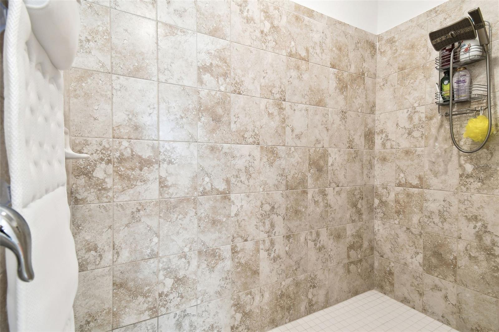 Master shower