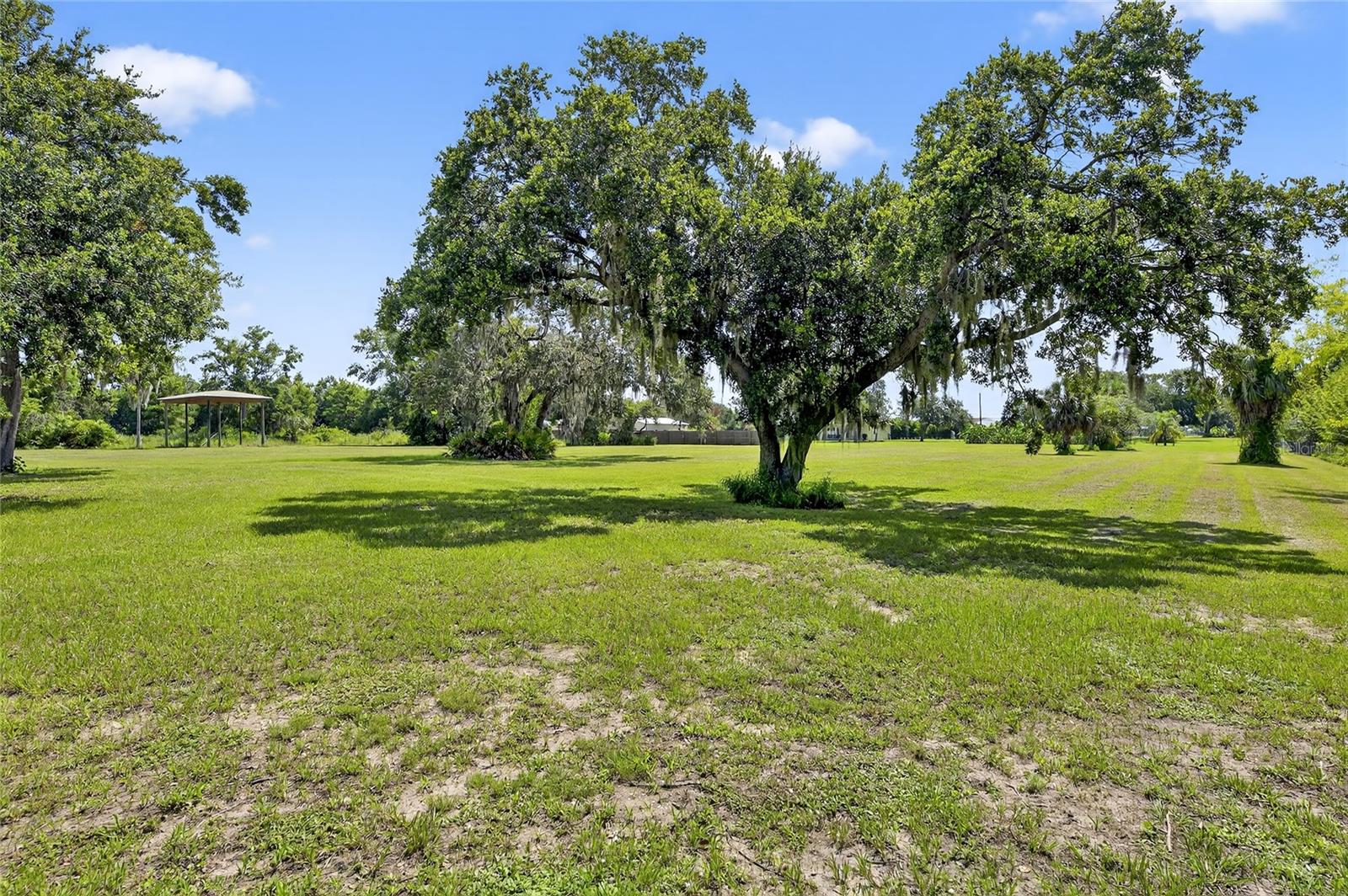 View of the back yard.