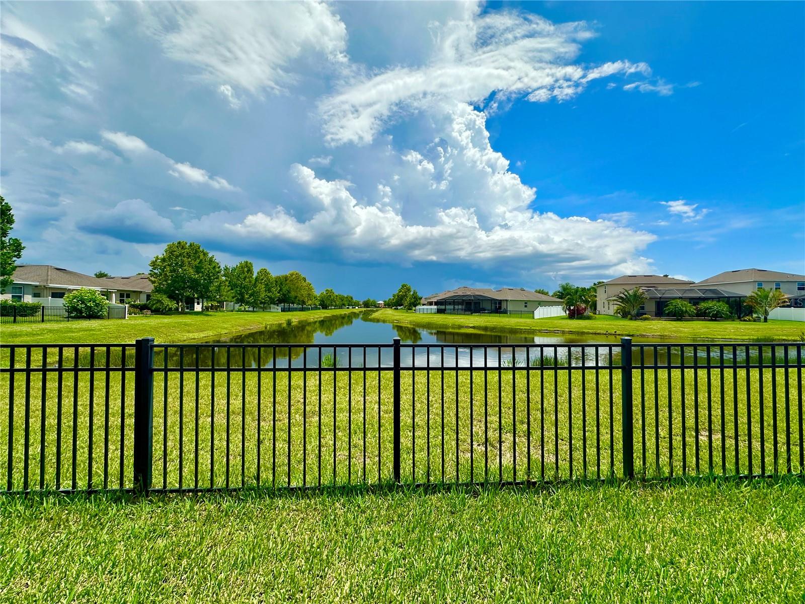 Pond view