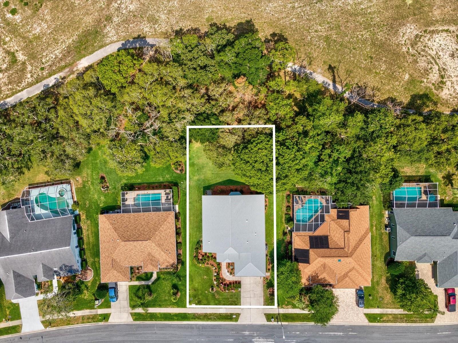 Lots of Backyard Privacy
