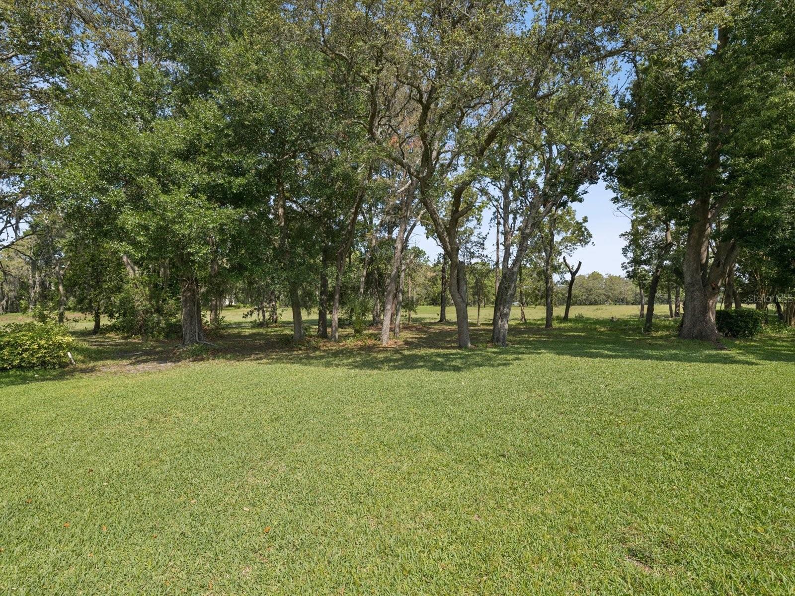 Gorgeous Back Yard