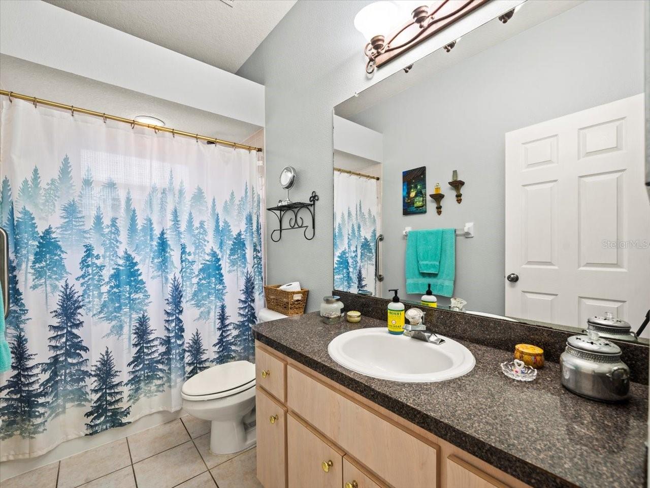 Guest Bathroom