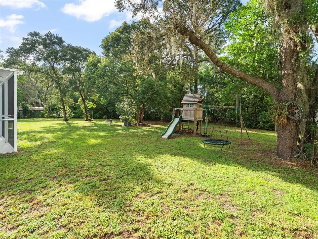 Backyard