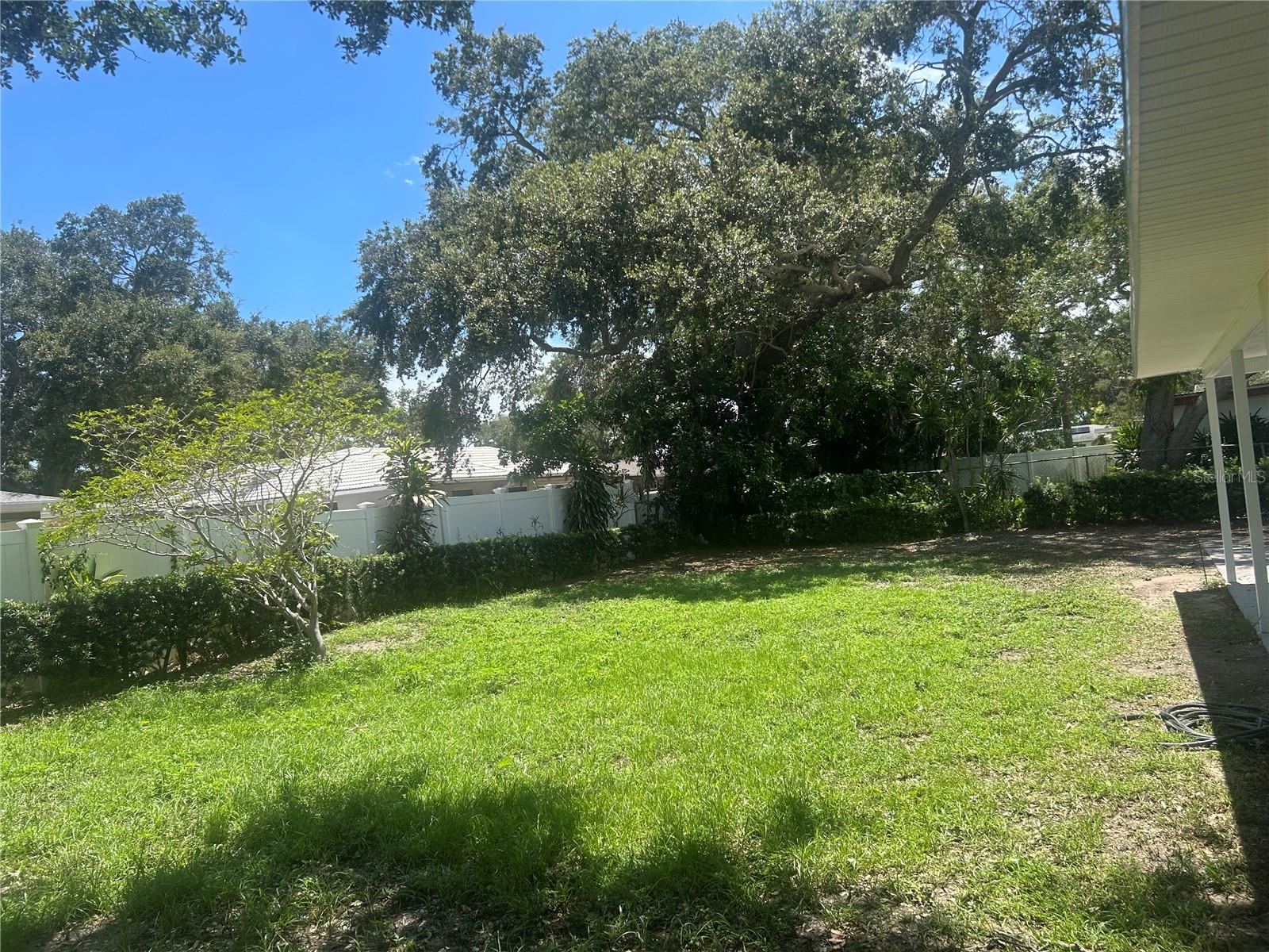 Back yard