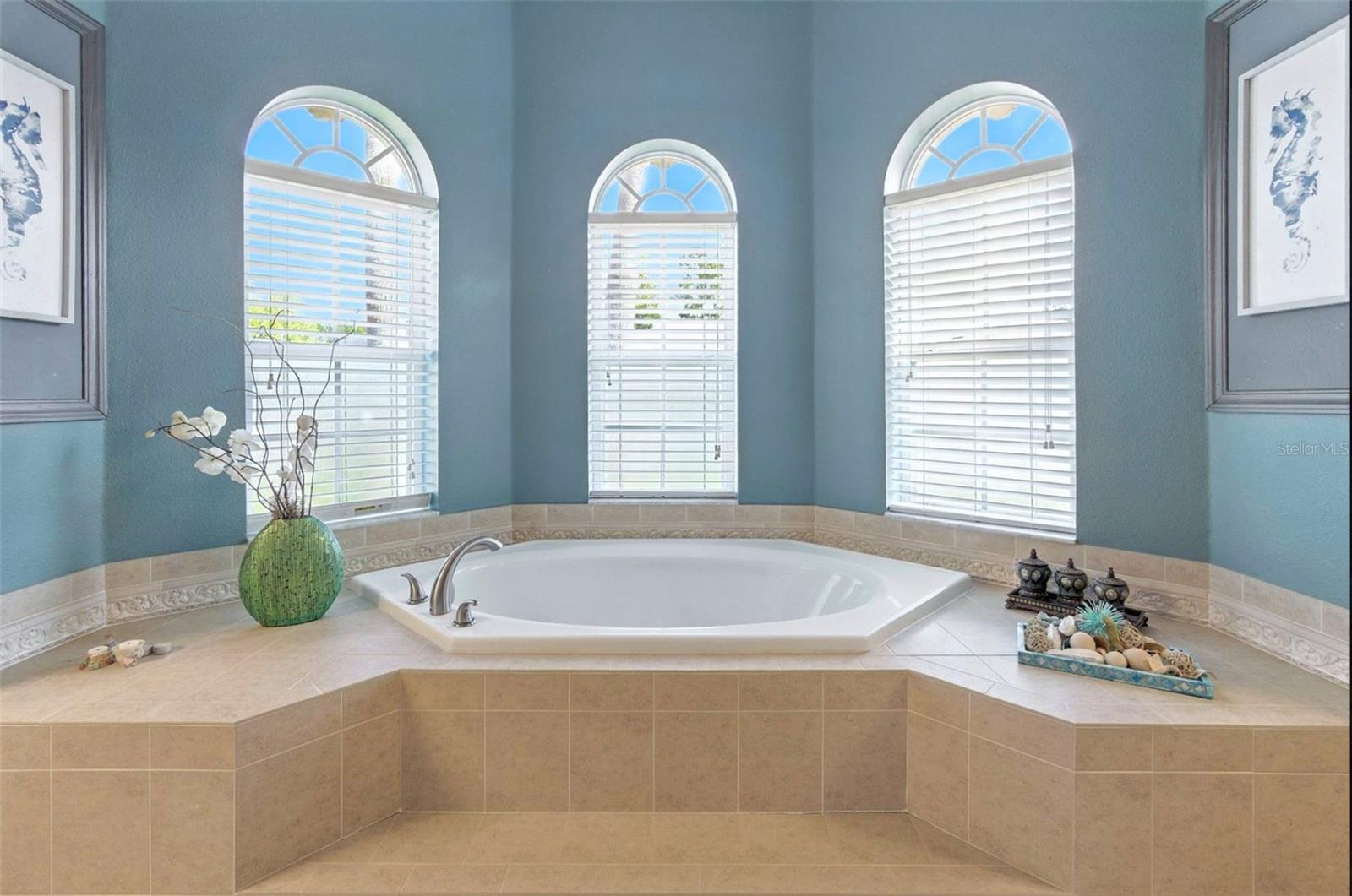 Soaker tub with view