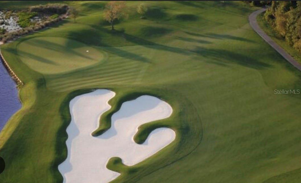 Golf course view