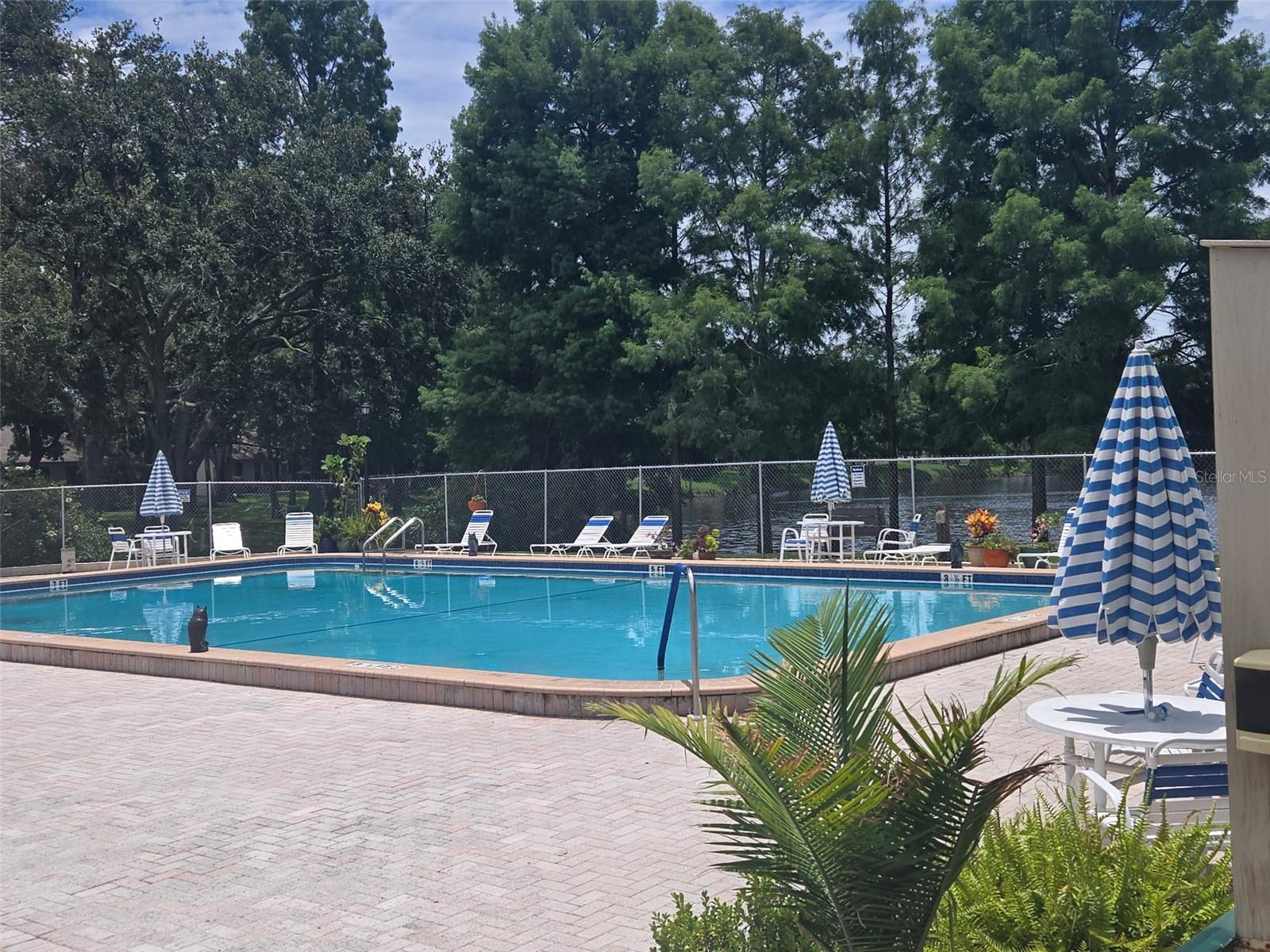 TB8401584
