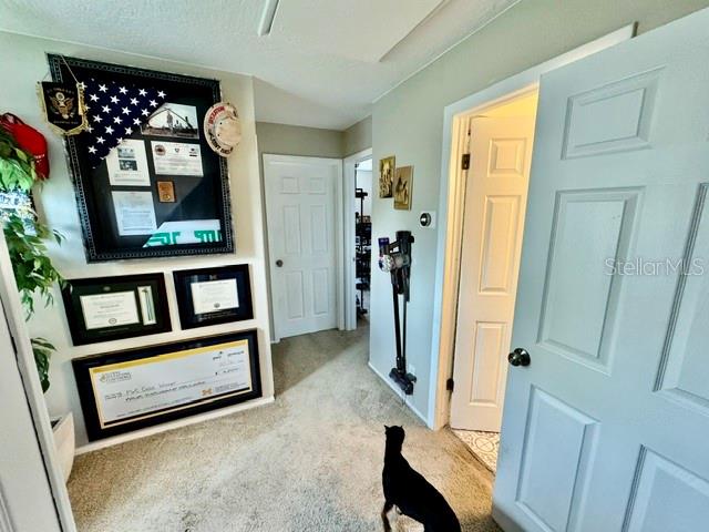 Upstairs Hallway