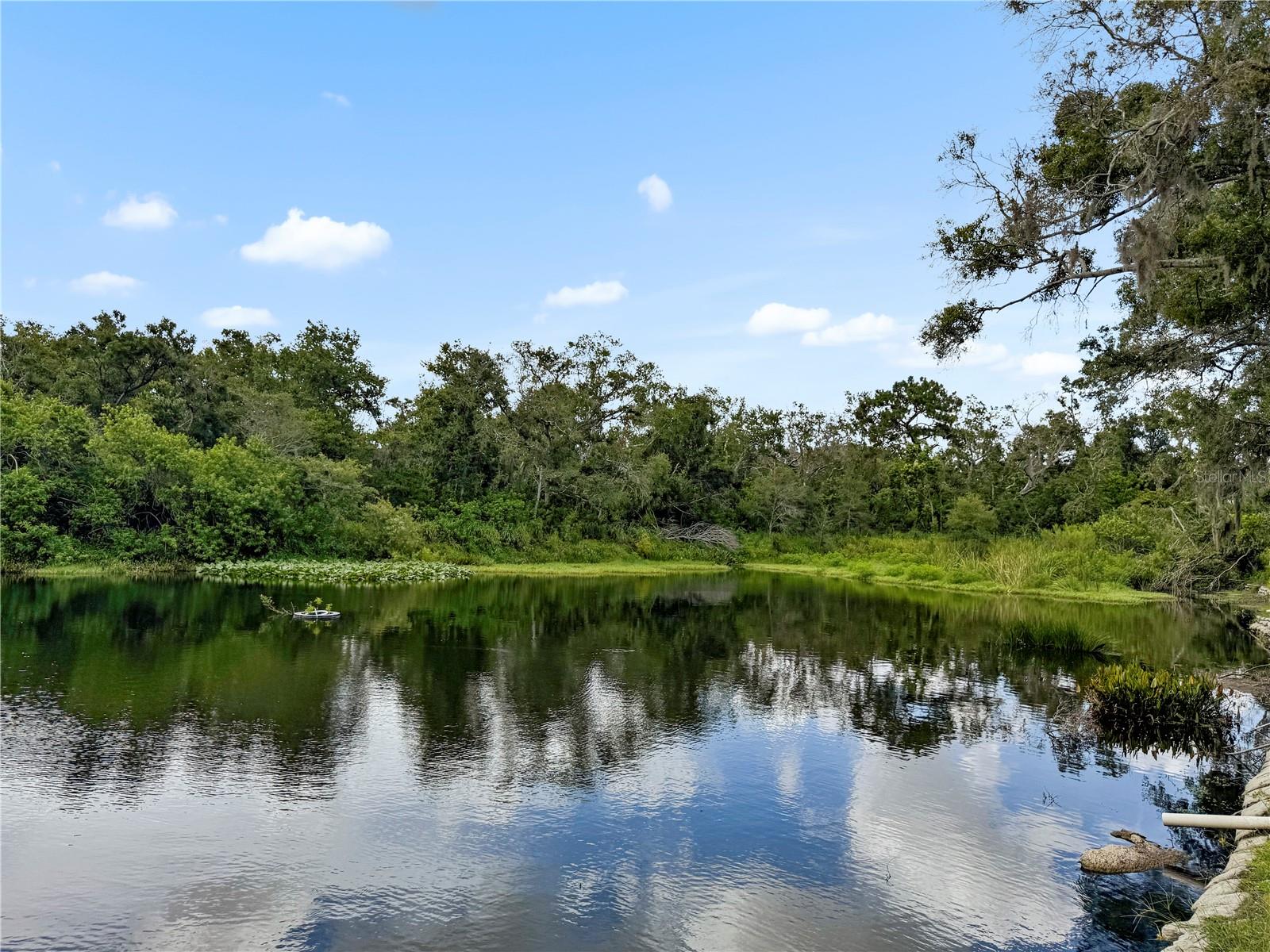 Peaceful community lake