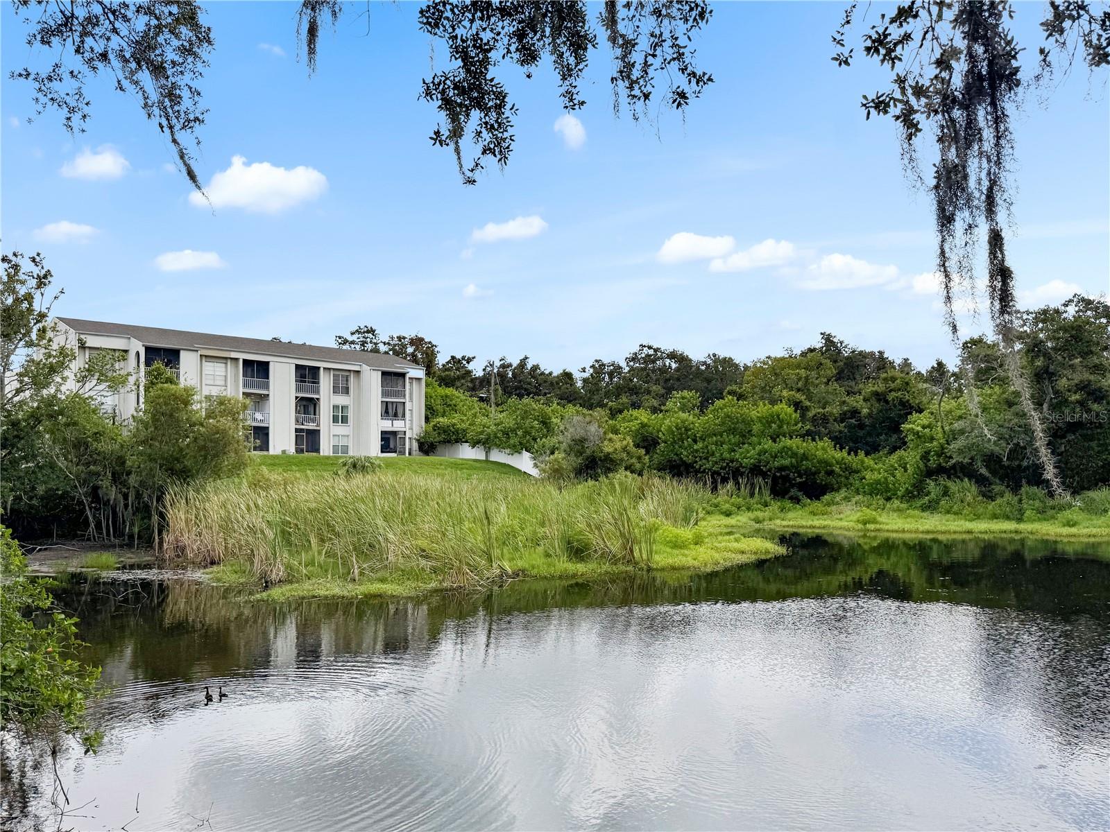 COMMUNITY LAKE