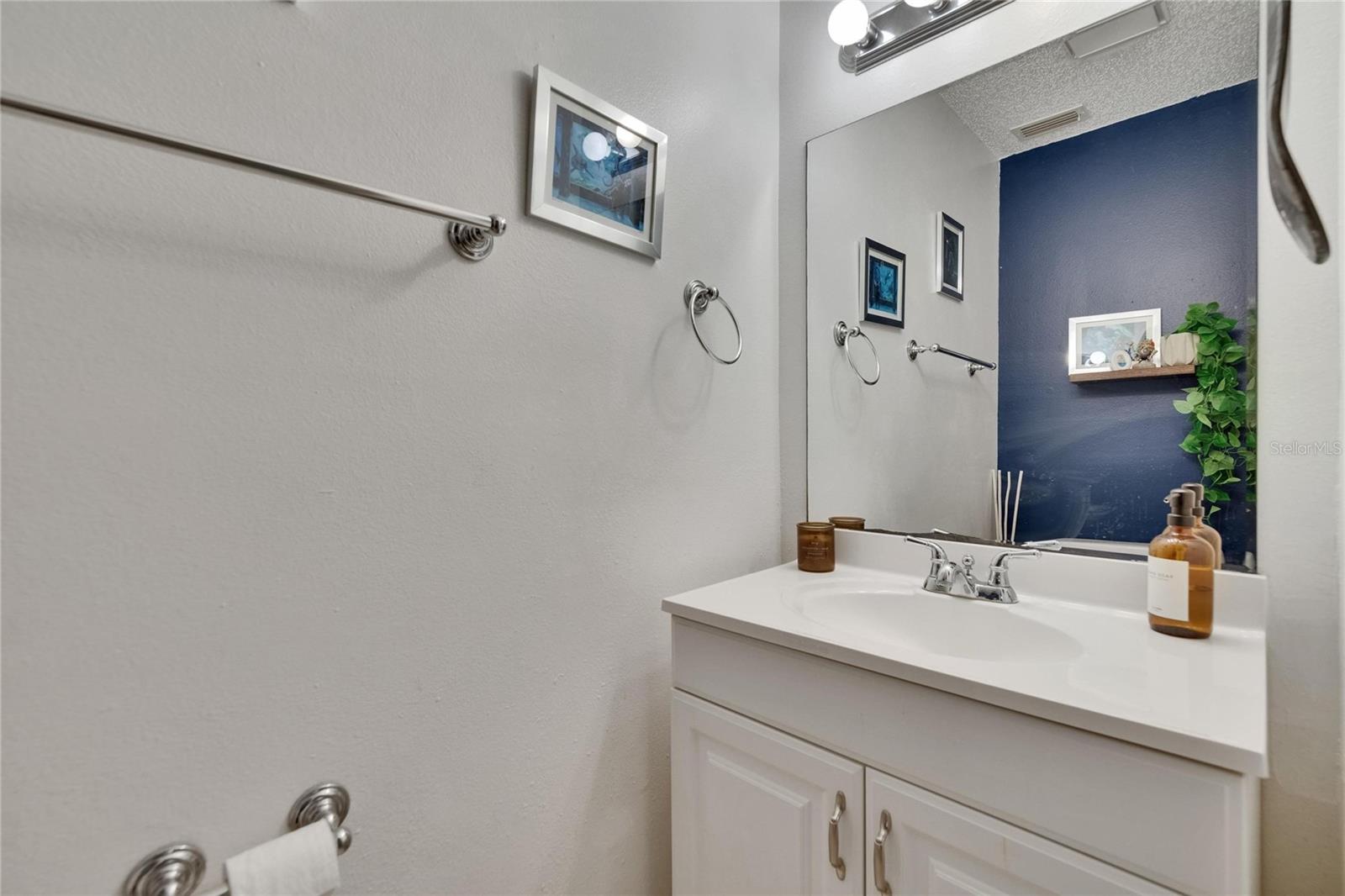Powder Bath Downstairs