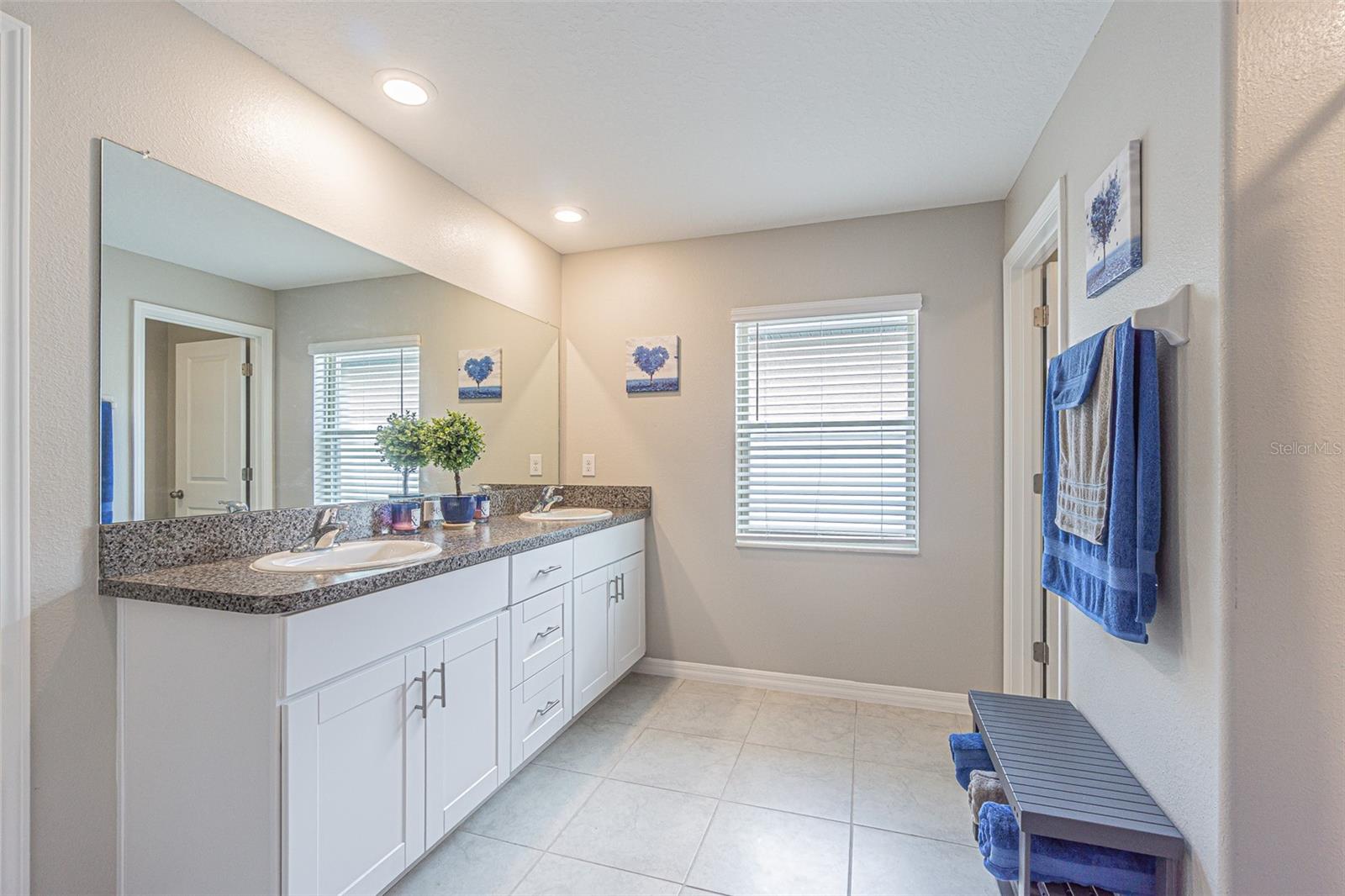 Master Bath Dual Sinks