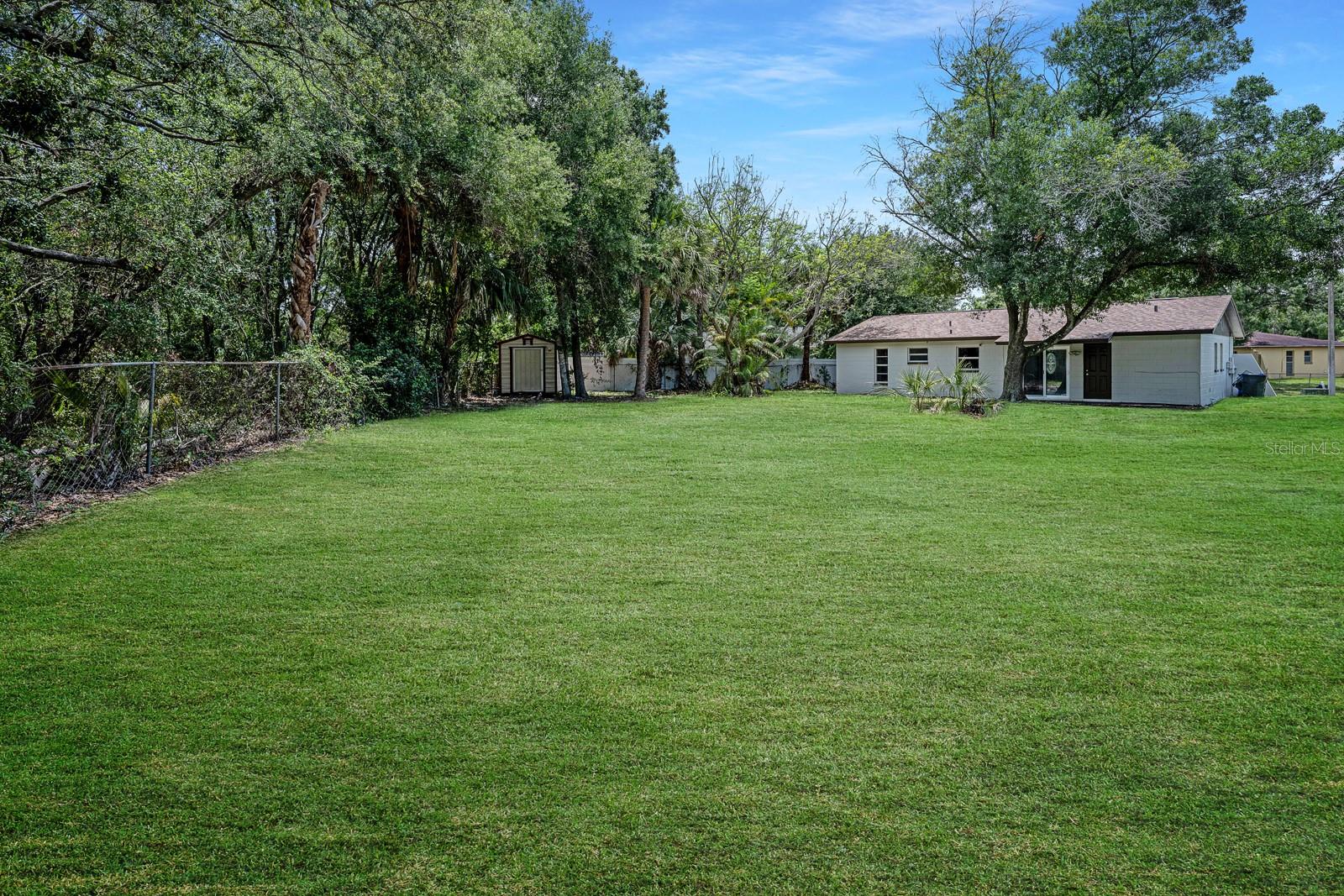 Huge Backyard - What it could look like with TLC
