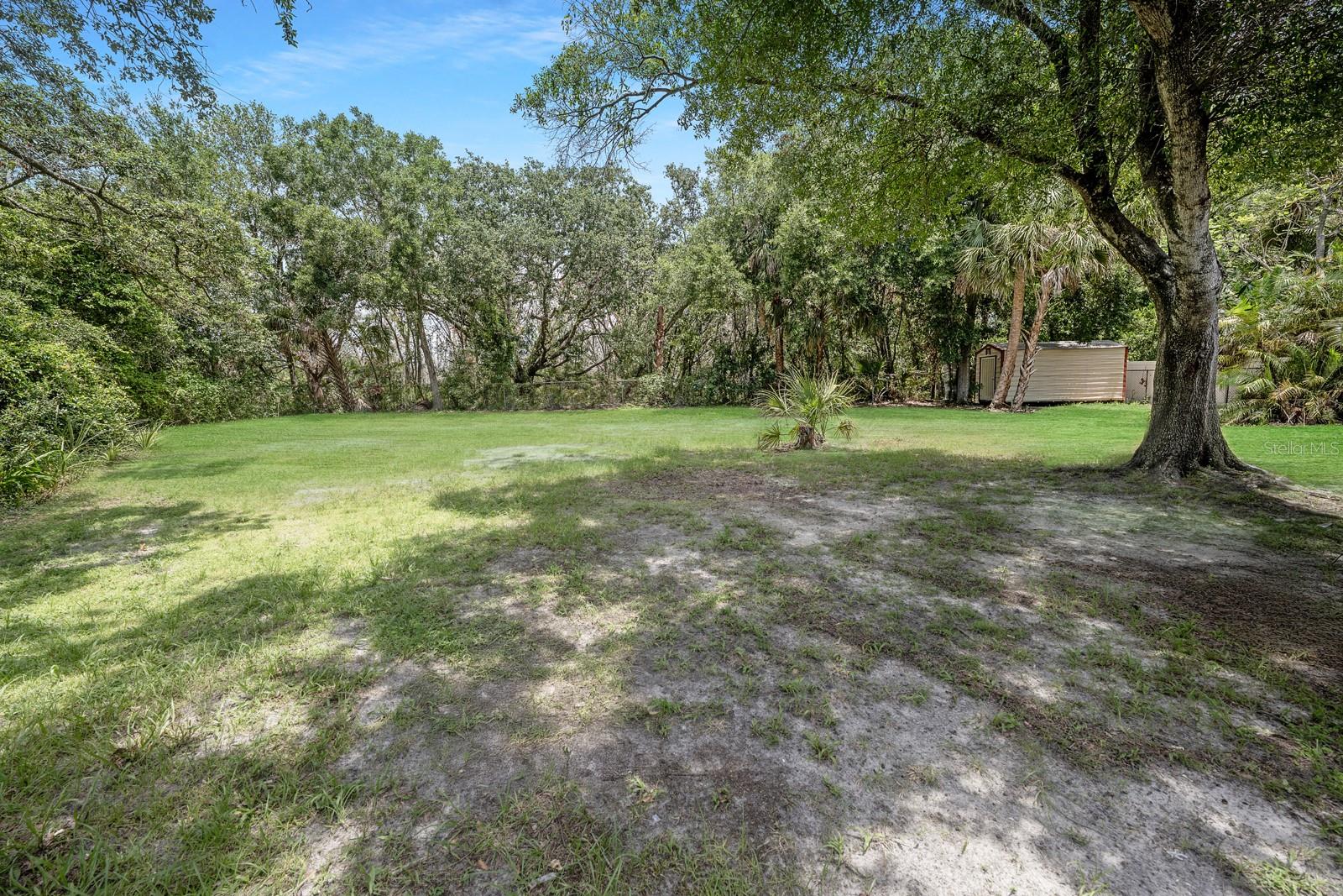 Mature Treeline with No Backyard Neighbors