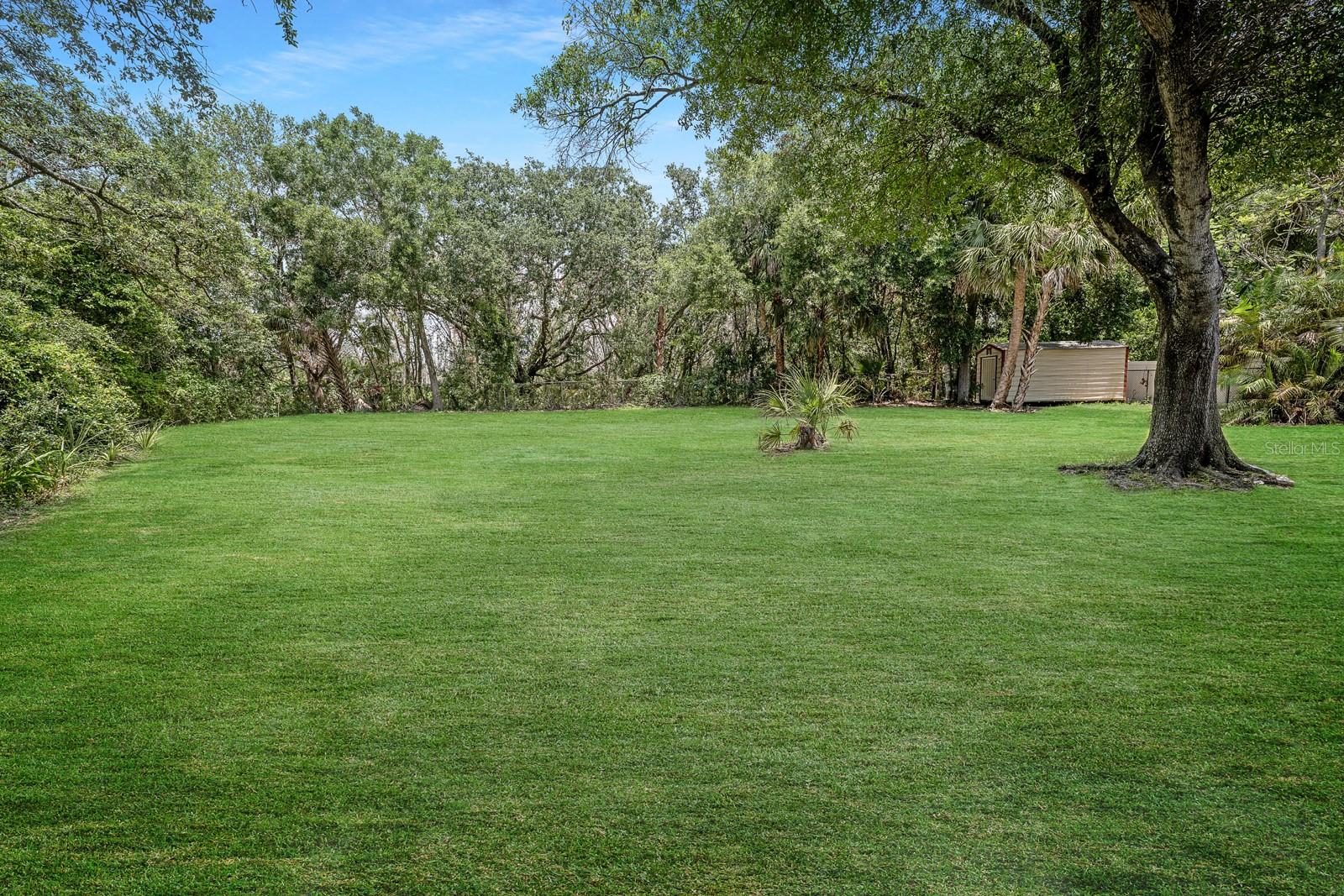 Huge Backyard - What it could look like with TLC
