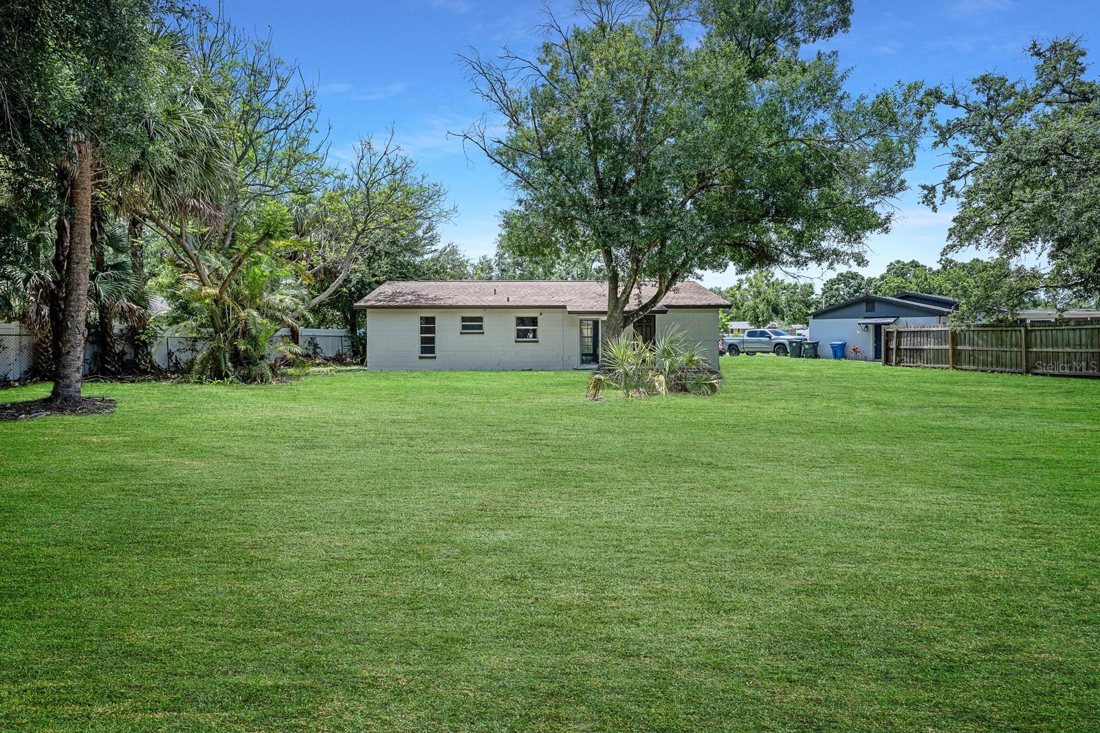 Huge Backyard - What it could look like with TLC