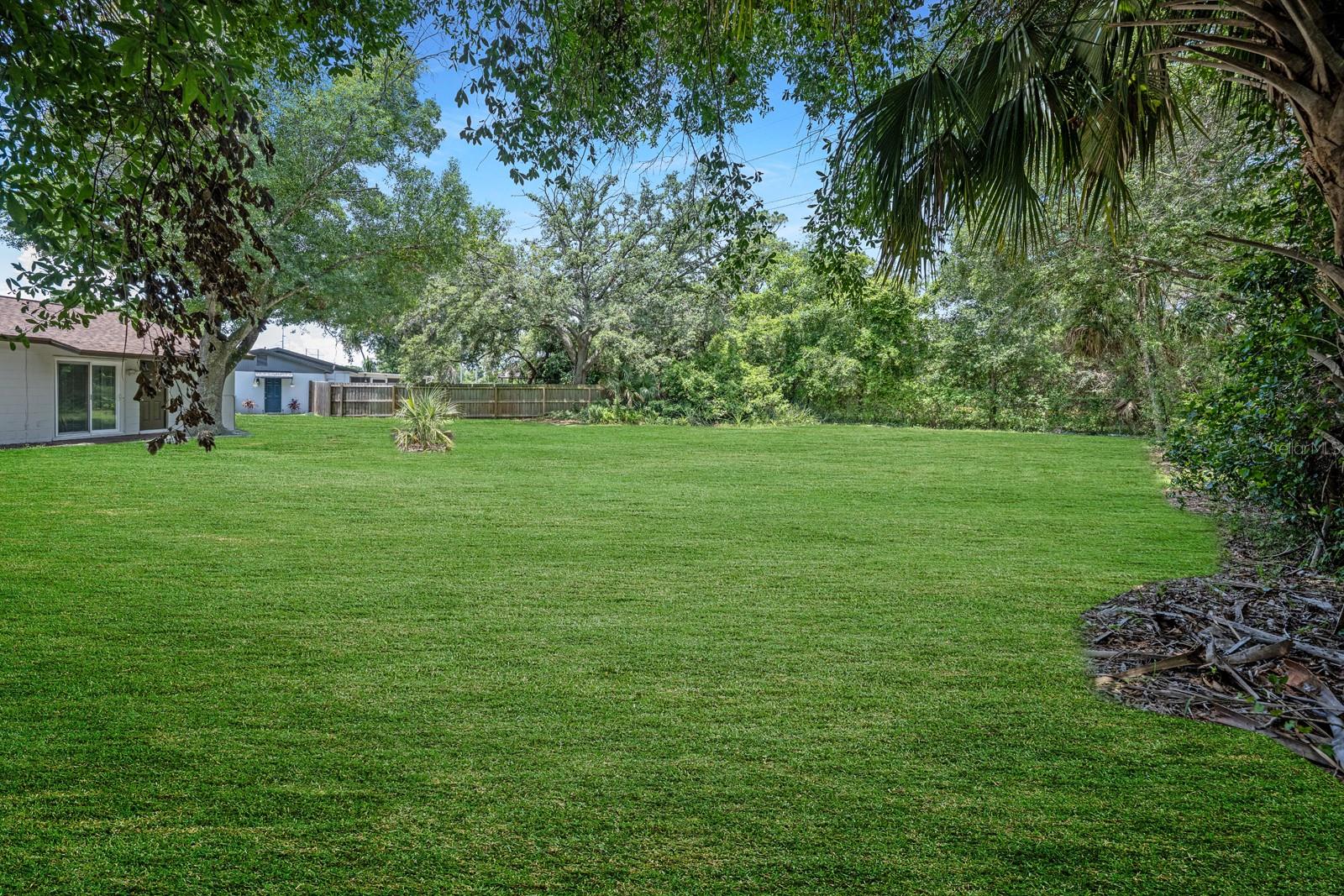 Huge Backyard - What it could look like with TLC