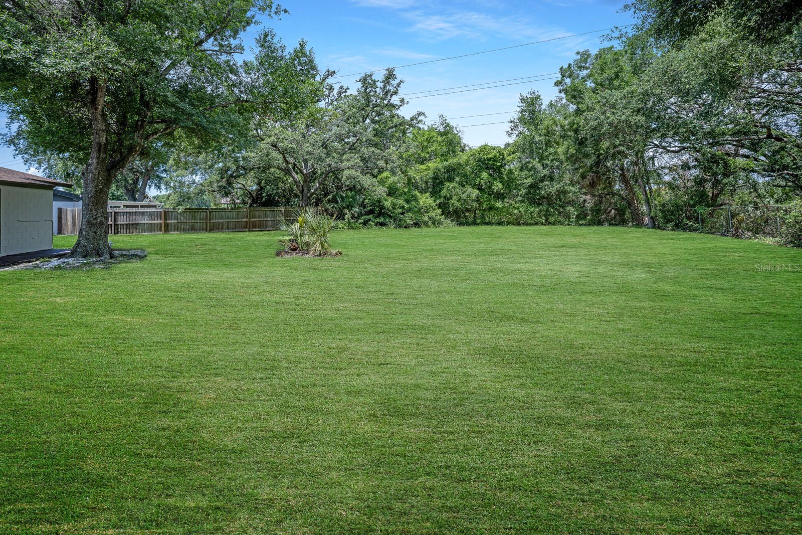Huge Backyard - What it could look like with TLC