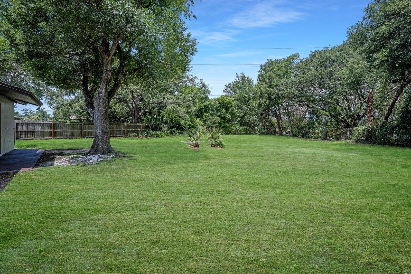 Huge Backyard - What it could look like with TLC