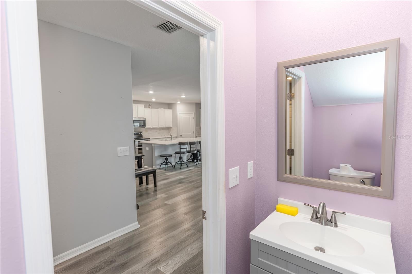 Downstairs half bathroom