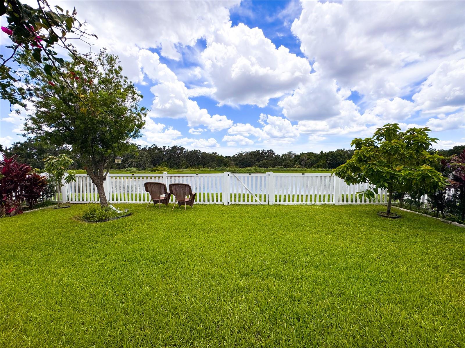 back yard