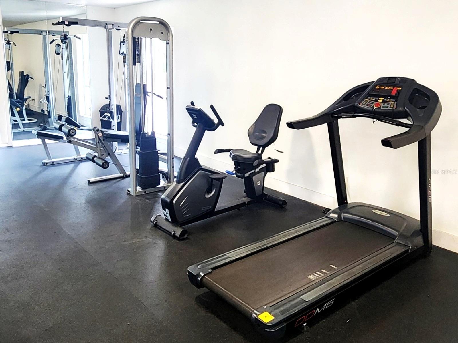 Gymn area 2