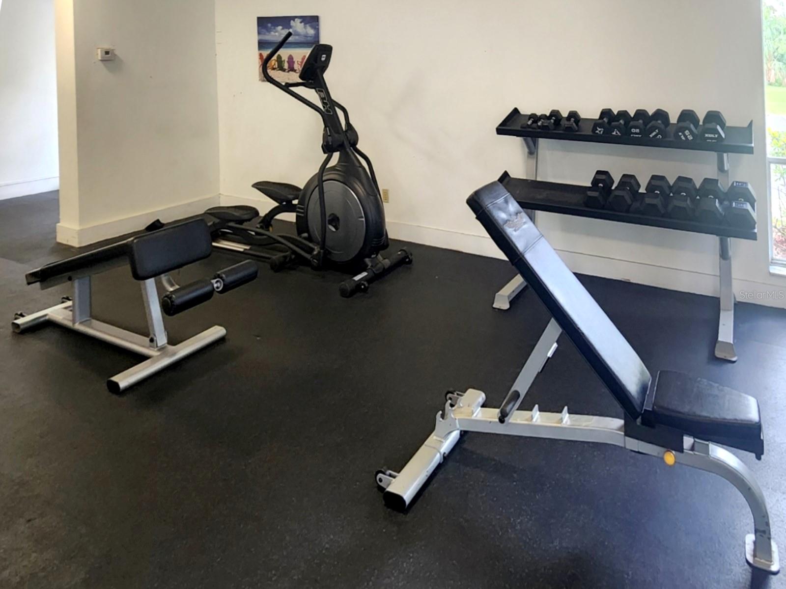 Gymn area 1