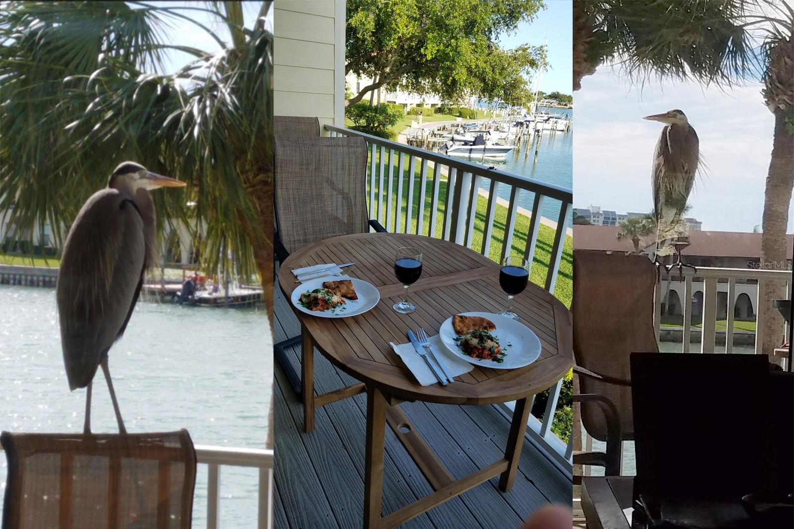 Balcony Dinner & a Show