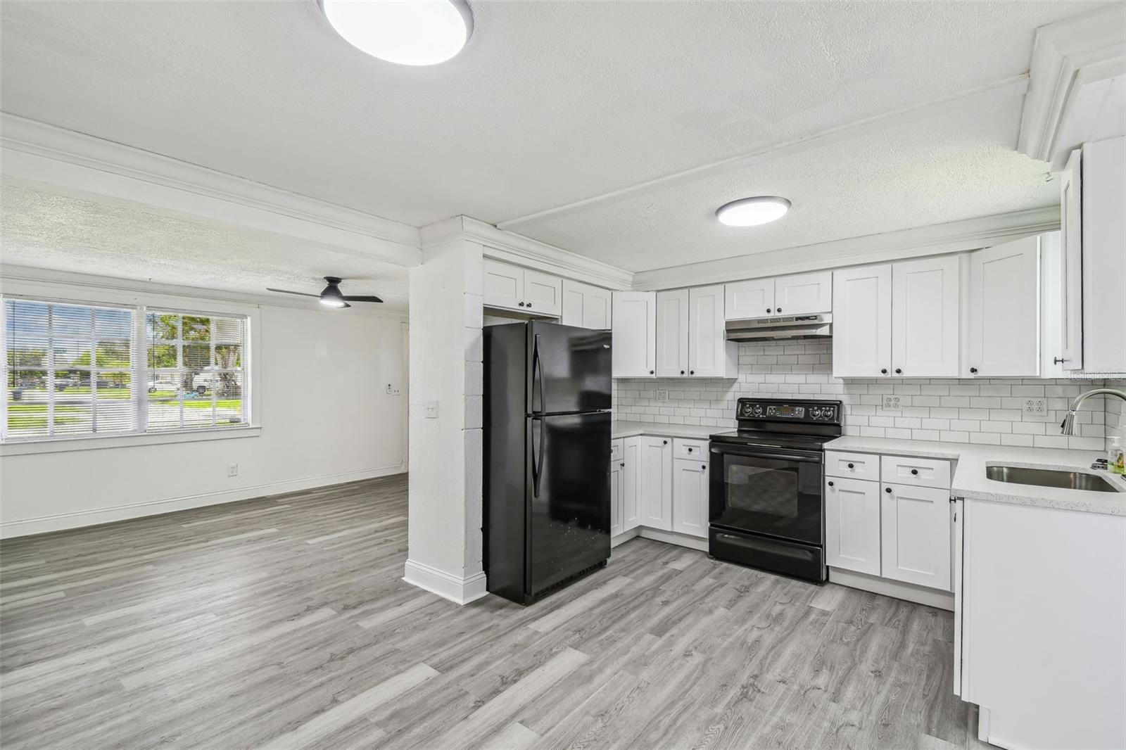 Kitchen and living room