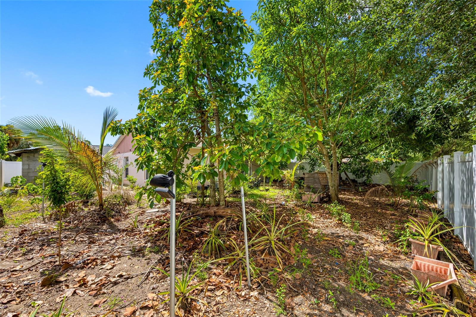 Fruit Trees