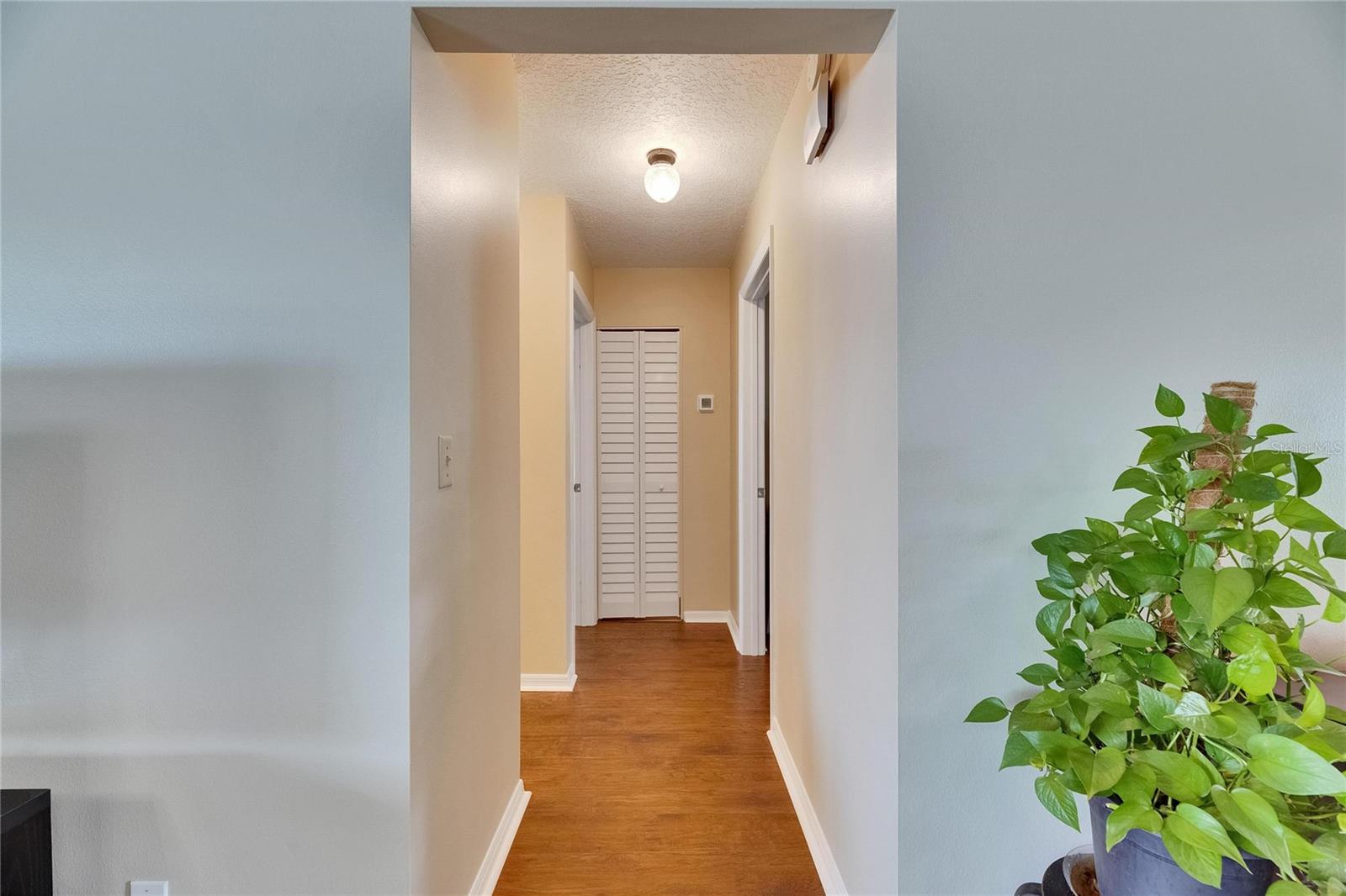 Hallway to guest bathroom and bedrooms