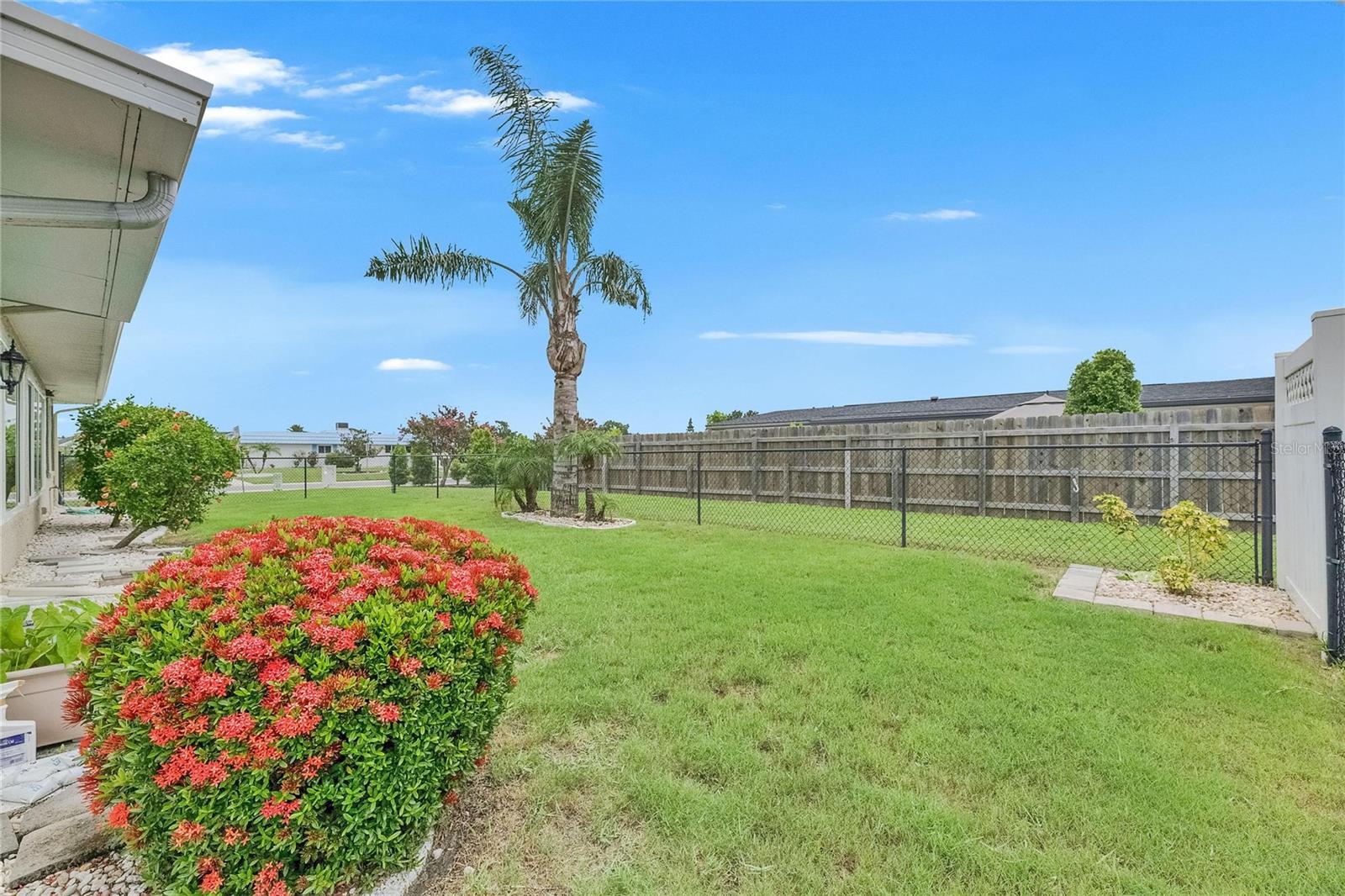 Fenced backyard