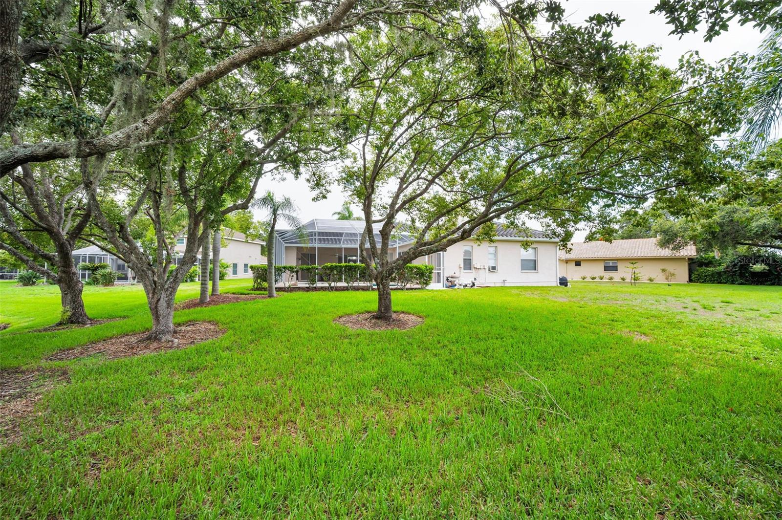 Exterior Rear/ Backyard