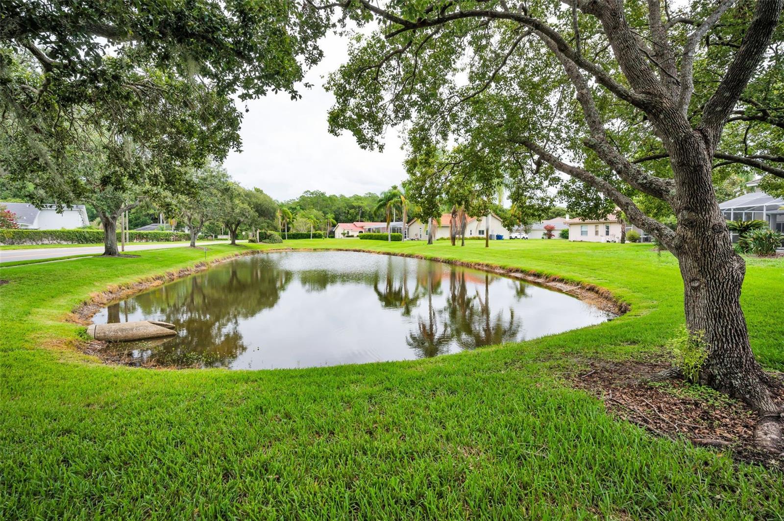 Backyard/Pond View