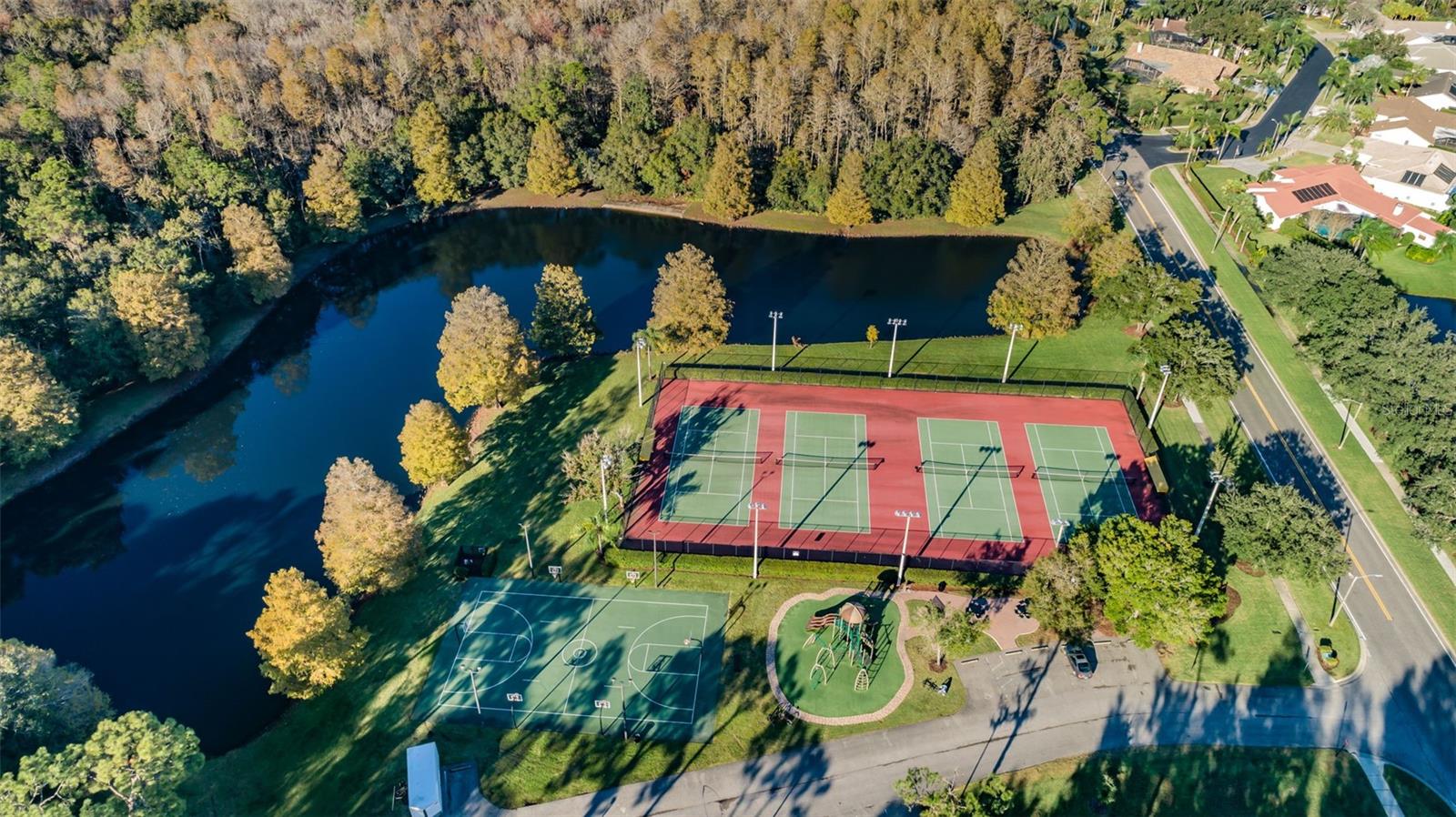 Aerial Ridgemoor Central Park